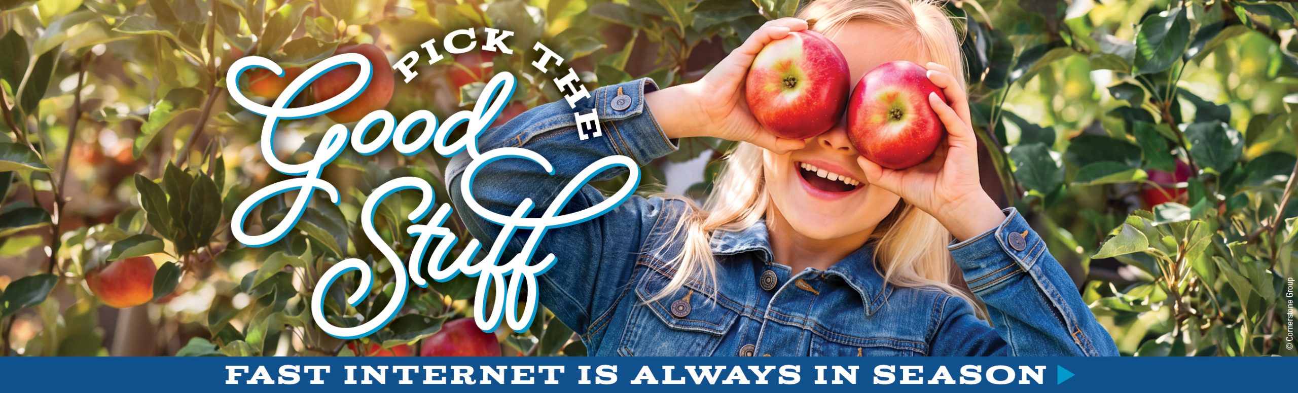 Pick the good stuff...Internet from Massena Telephone